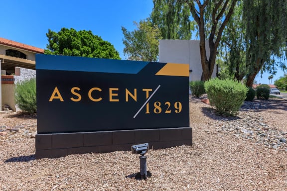 Ascent 1829 property image