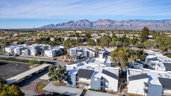Ascent on Pantano property image