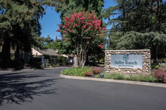 Selby Ranch Apartment Homes property image