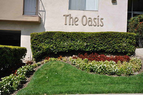 Oasis Apartments property image