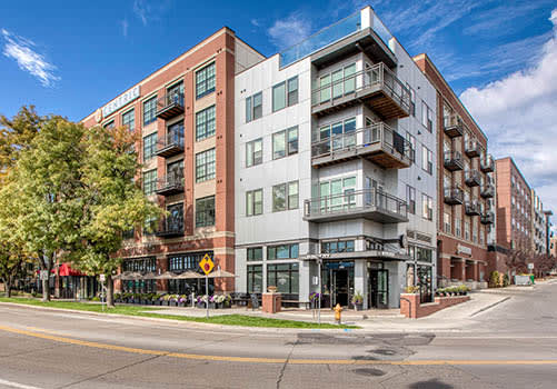 Centric LoHi by Windsor property image