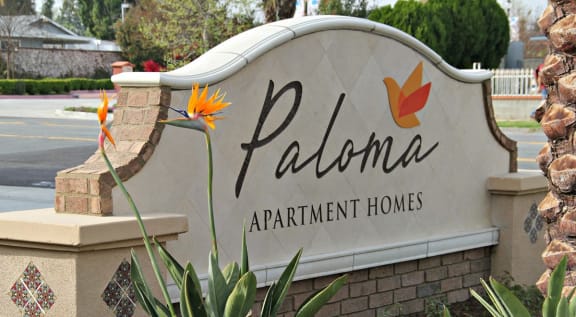 Paloma Apartment Homes property image