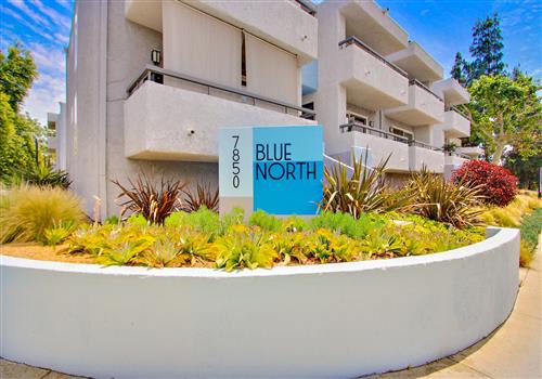 Blue North property image