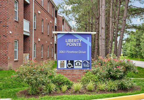 Liberty Pointe property image