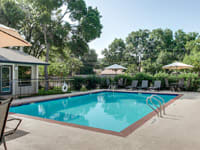 Courtyards of Roses property image