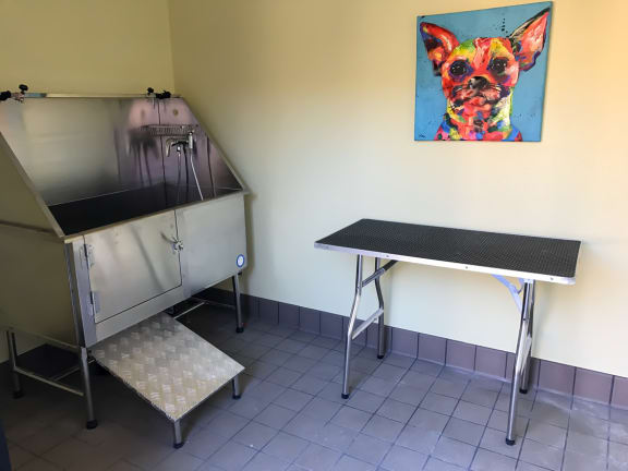 Pet Wash at Monaco Lakes Apartments in Southeast Denver, CO