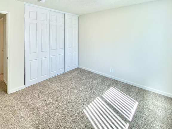 A room with a white door and striped rug on the floor.