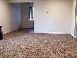 A room with a carpeted floor and a window with blinds.