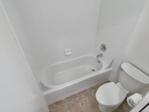 a bathroom with a toilet and a bathtub