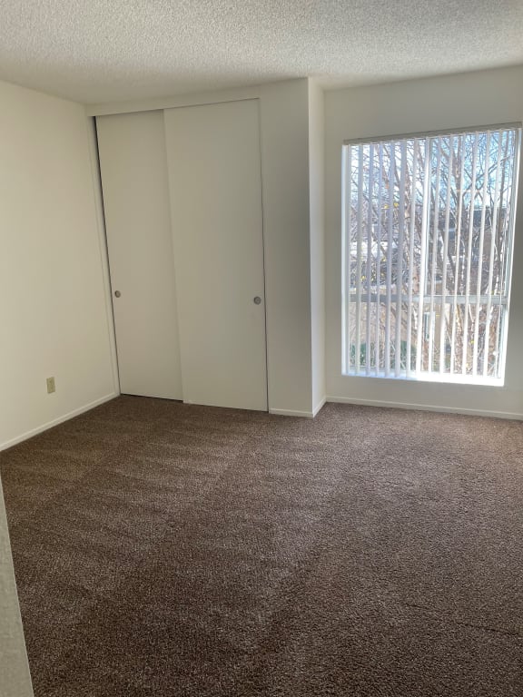 Juniper 1x1 spacious bedroom (basic)