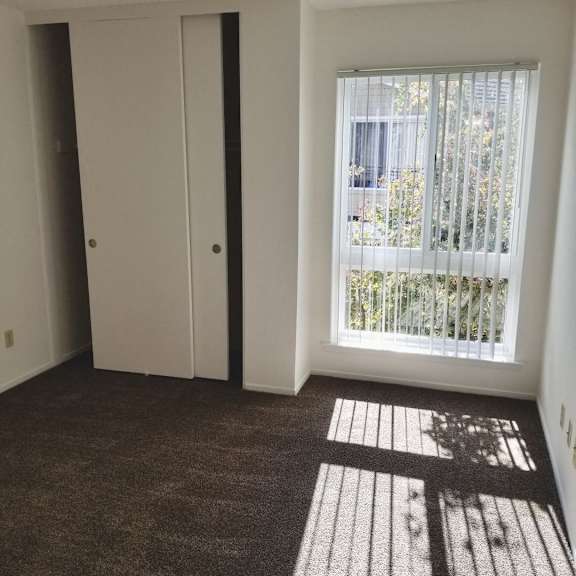 A room with a brown carpet and a white door.