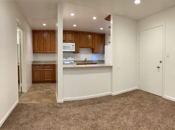 a kitchen and living room with a carpeted floor