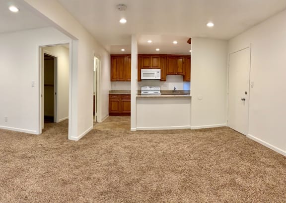 a kitchen and living room with a carpeted floor