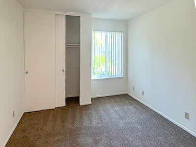 A room with a brown carpet and a white door.
