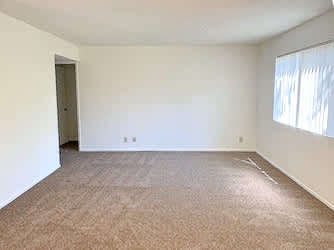 A room with a carpeted floor and a window letting in sunlight.
