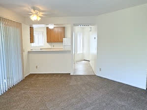 A room with a carpeted floor and a ceiling fan.