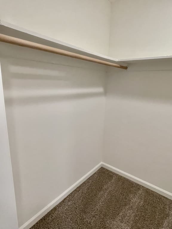 a walk in closet in a 555 waverly unit