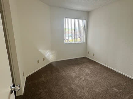 A room with brown carpet and a window with blinds.