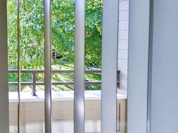 A view of a green lawn through a window.