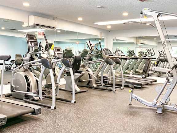 A gym with treadmills and elliptical machines.