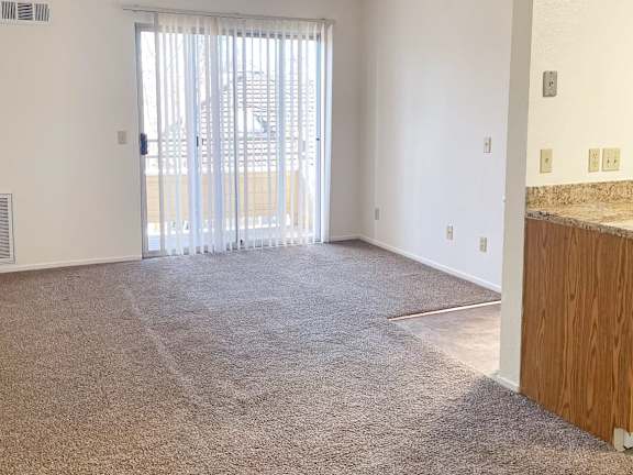 A room with a carpeted floor and a sliding glass door.