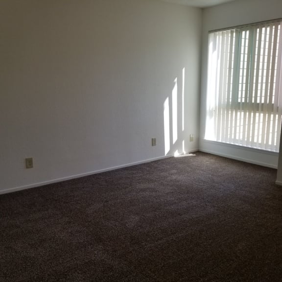 Tassajara 2x2.25 Larger bedroom featuring large window (basic)