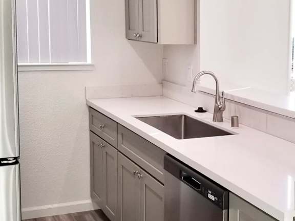 A kitchen with a white sink and a dishwasher.
