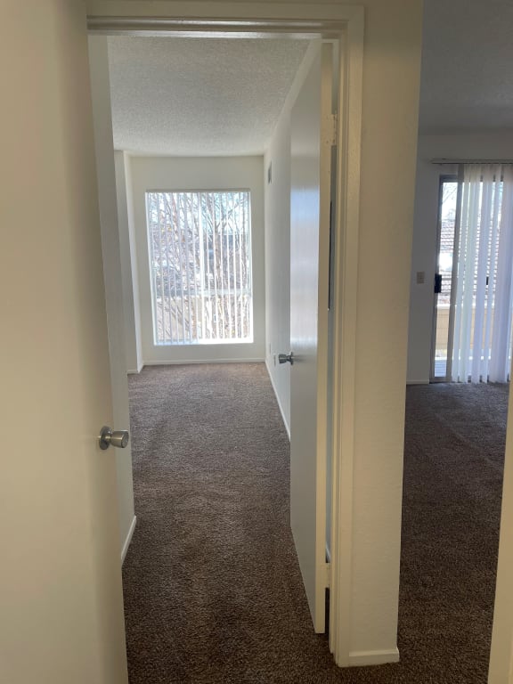 Juniper 1x1 featuring room entry(basic)