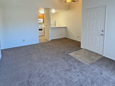 A room with a carpeted floor and a white door.