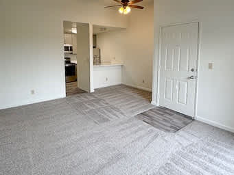 A room with a carpet and a ceiling fan.