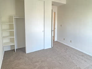 A white closet with a door is open.
