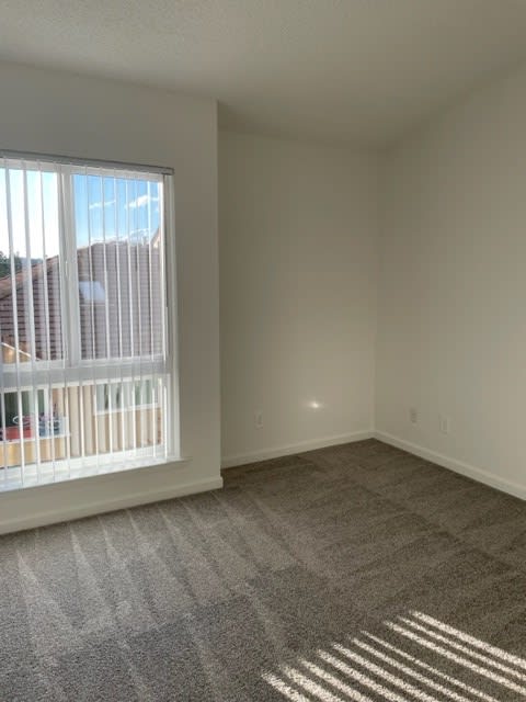 Tassajara 2x2.25  side view small bedroom