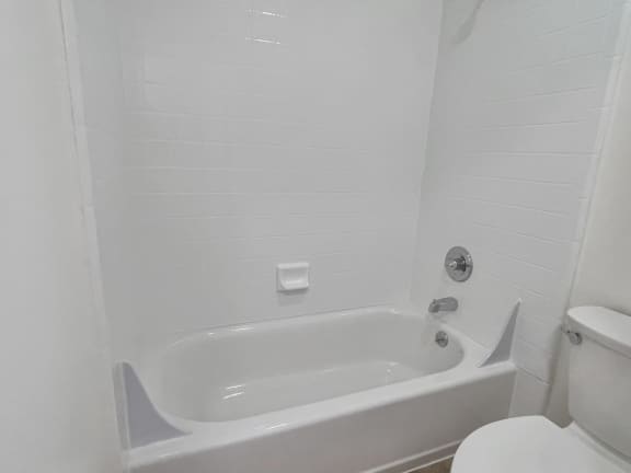 a bathroom with a toilet and a bathtub