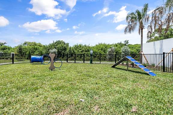 Mira at Palmer Ranch dog park in Sarasota