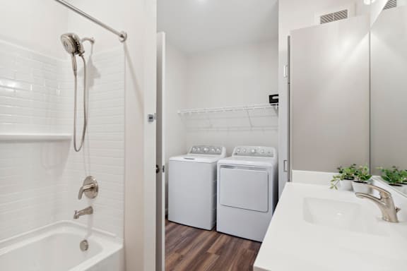 Mural-Model Unit Laundry