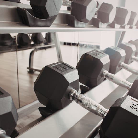 A close up of a black dumbbell with a silver weight plate on a rack in a gym. at The Dean at Creekview Apartments, Newark, DE