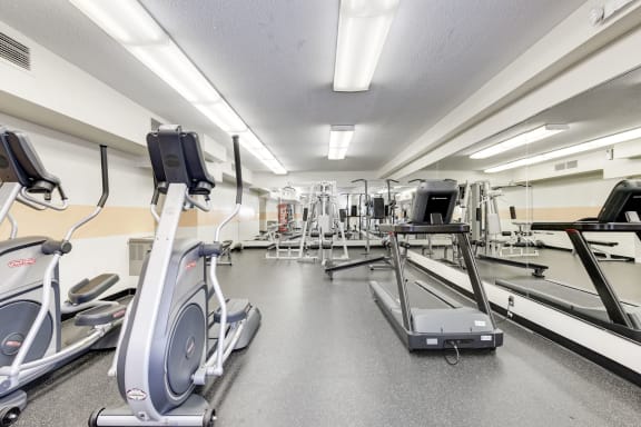 a gym with cardio equipment and weights on the floor