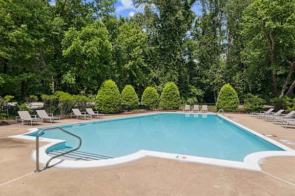 A swimming pool surrounded by trees and lawn chairs.