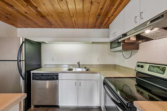 A modern kitchen with stainless steel appliances and wooden ceiling at Tindeco Warf, Maryland