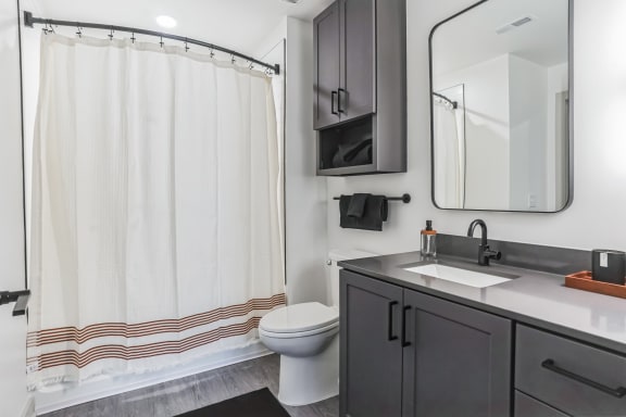 a bathroom with a shower and a sink and a toilet at Hawkins Press, Charlotte, NC