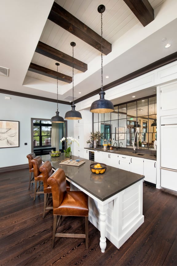 Posh Clubhouse at Town Trelago, Maitland, FL