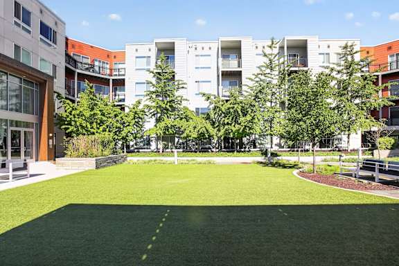 A grassy area in front of apartment buildings.