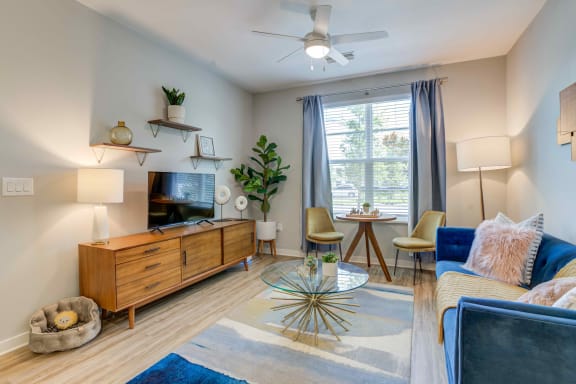 a living room with a blue couch and a tv in front of a window at Delamarre at Celebration, Florida, 34747