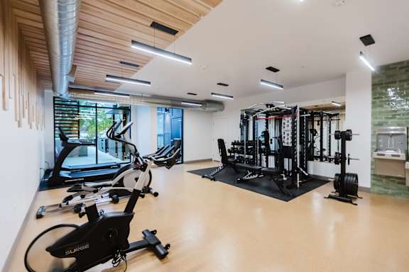 A gym with a variety of equipment including treadmills, stationary bikes, and weight machines.