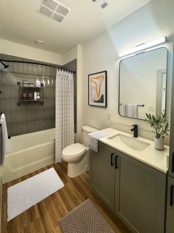 a bathroom with a sink and a toilet and a shower at South and Hollis, North Carolina