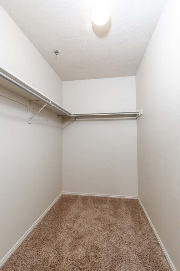 A white closet with a carpeted floor and a white ceiling. at Bluffs Apartments, Utah