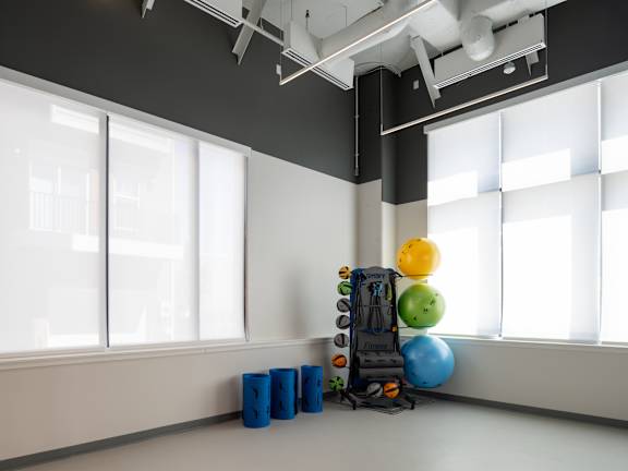 A gym with a blue and yellow ball, a blue and black weight stack, and a blue and black weight plate.