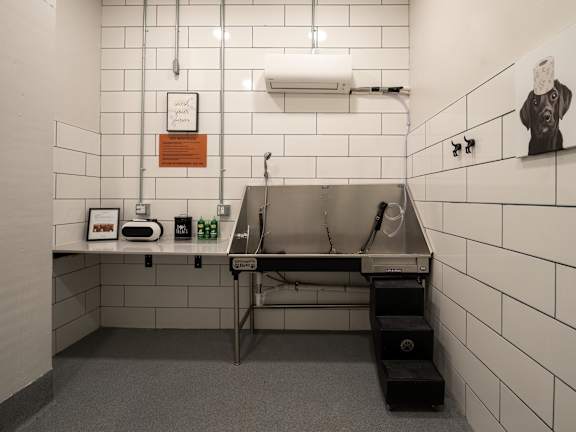 A bathroom with a sink and a mirror.