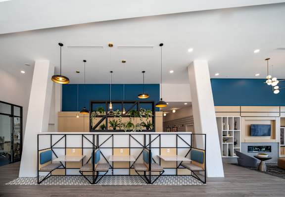 A modern waiting area with a blue accent wall and hanging plants.