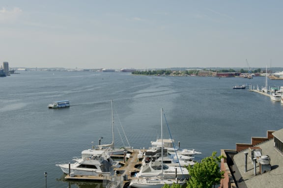 a view of boats docked in the water at a harbor at Tindeco Wharf, Baltimore, MD 21224